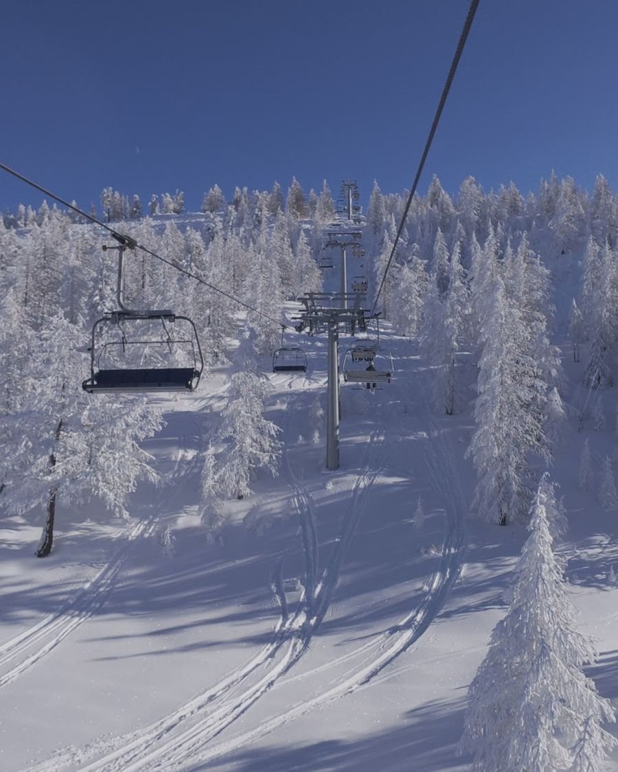 Chairlift above snowy larch trees in Montgenèvre