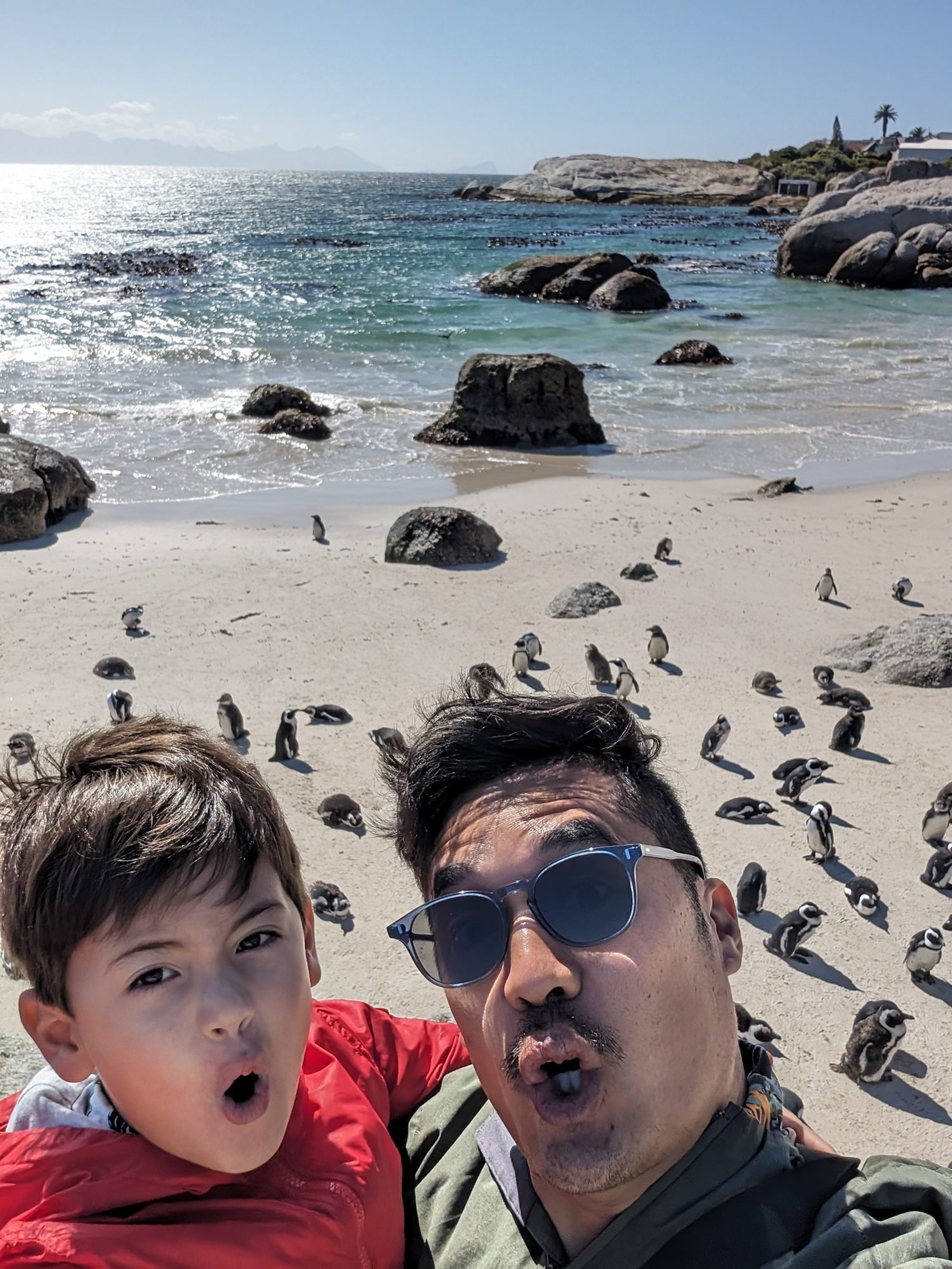 Boulders Beach