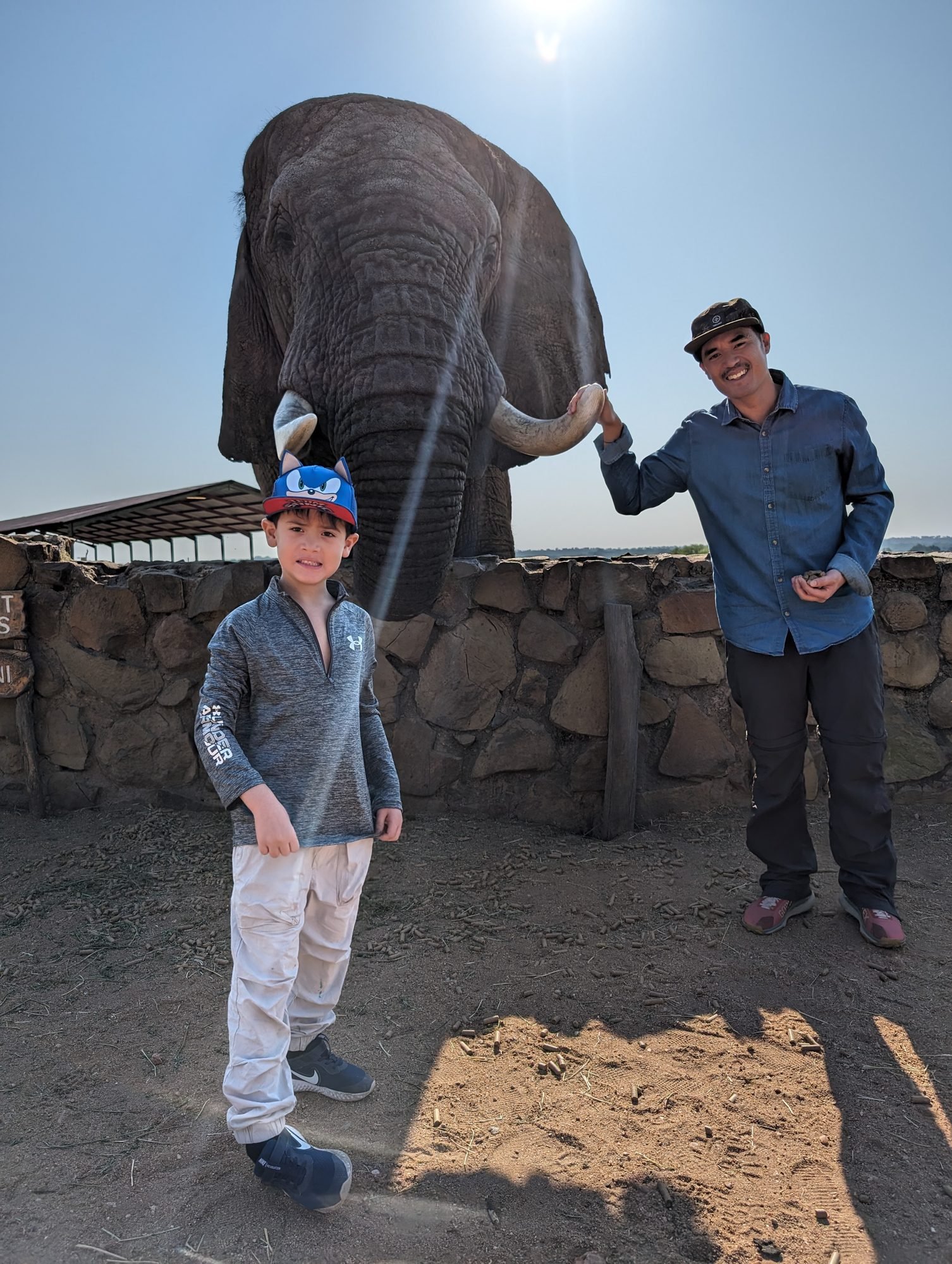 Elephant Moments