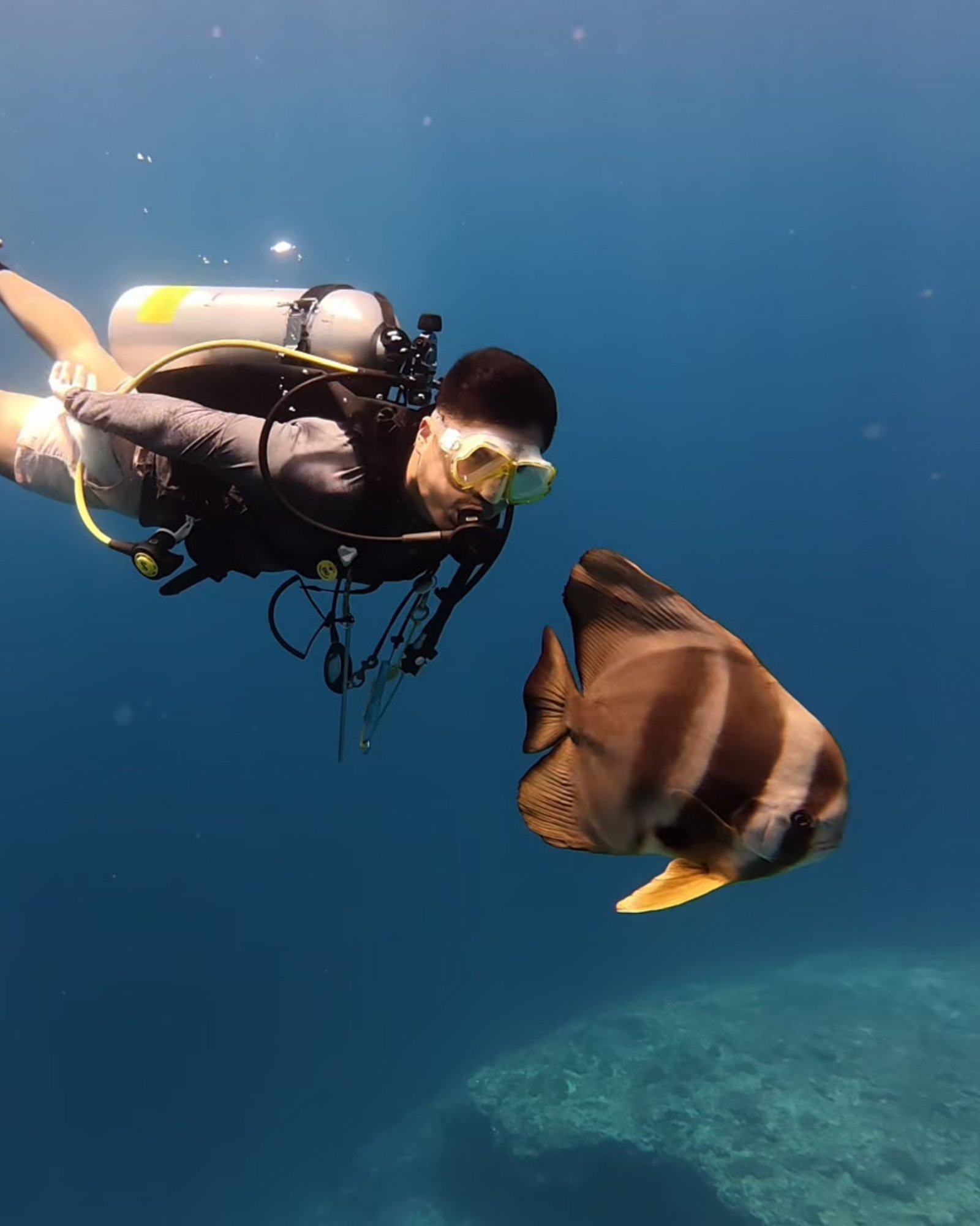 Maldives Liveaboard